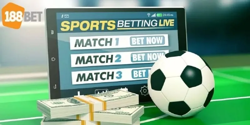 Những loại hình thường sẽ thấy